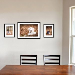 Drei gerahmte Bilder mit weißem Labrador hinter Tisch und Stühlen